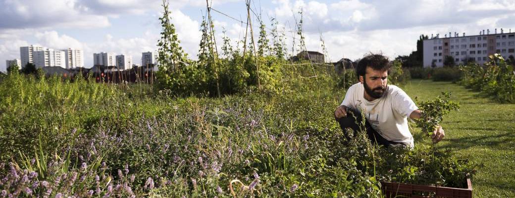 Derniers Paniers Sensibles Eté 2019