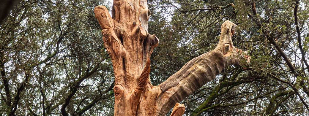 Des arbres dans la ville