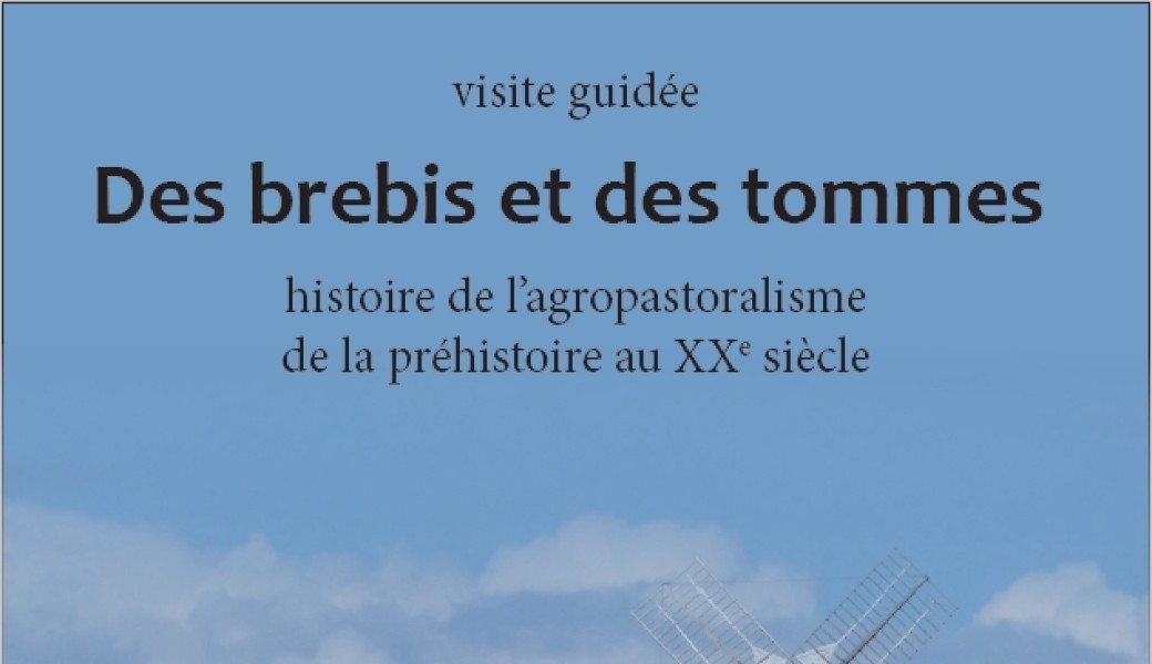 Des brebis et des tommes, histoire de l'agropastoralisme de la préhistoire au XXe siècle