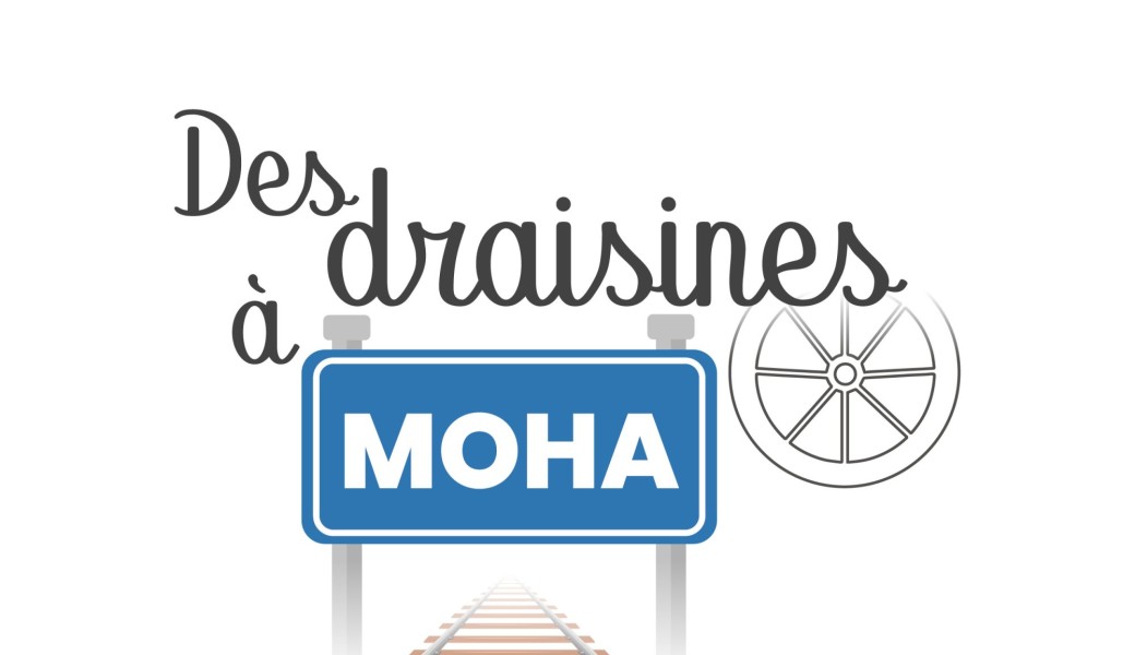 Des draisines à Moha - été 