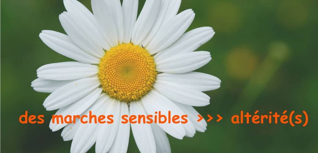 des marches sensibles >>> altérité(s)
