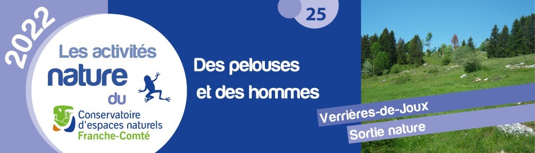 Des pelouses et des hommes