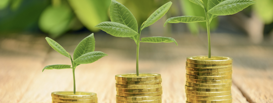Des solutions face à l'imposition ?