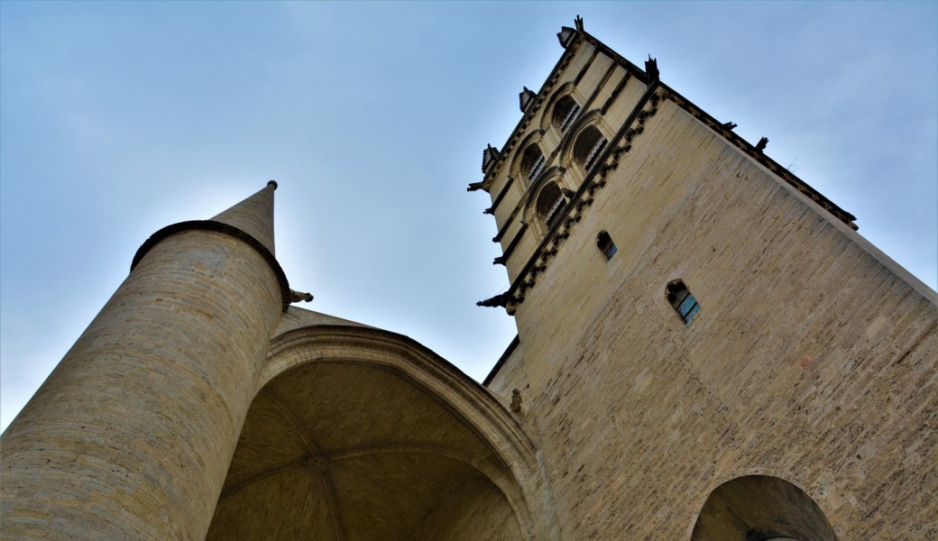 Des villages à la villes, immersion dans la Montpellier Médiévale