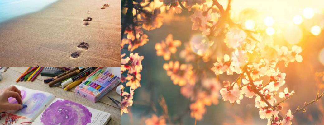 Méditation & Journal créatif - Deuils, passages & Renouveaux