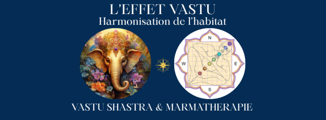 DIAGNOSTIC VASTU