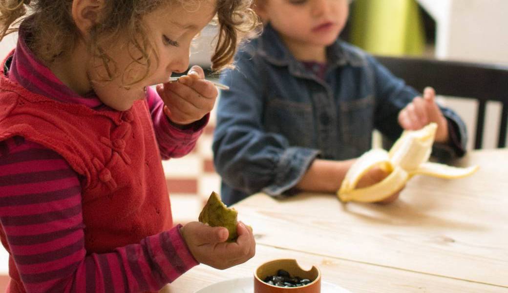 Diététique - Alimentation des enfants 3 - 11 ans : structure des repas et équilibre 