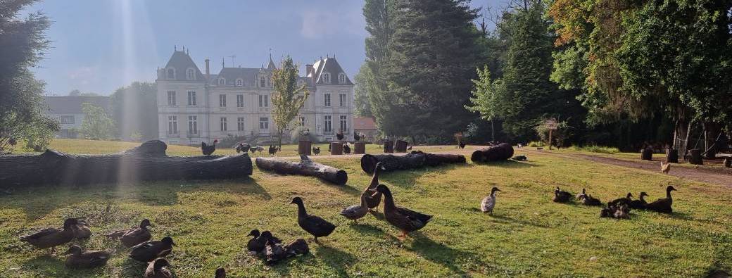 Diner champêtre de la fête des animaux