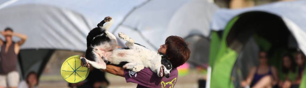 discdog seminar with Shaun Hirai