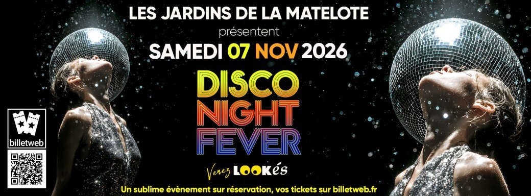 DISCO NIGHT FEVER