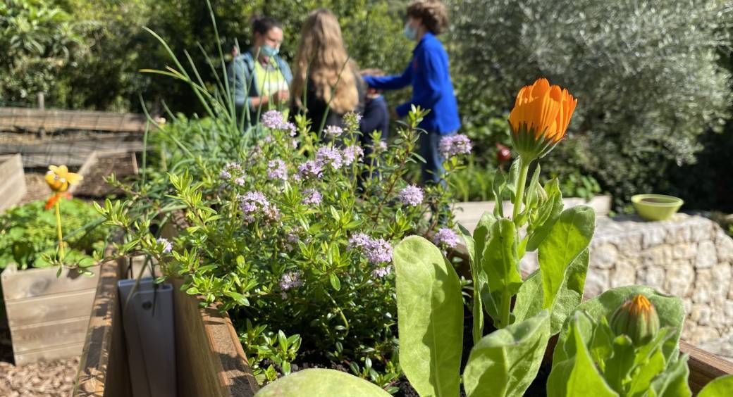 Terrae Workshop - Children 6 to 12 years old / Atelier Terrae - Enfant 6 à 12 ans