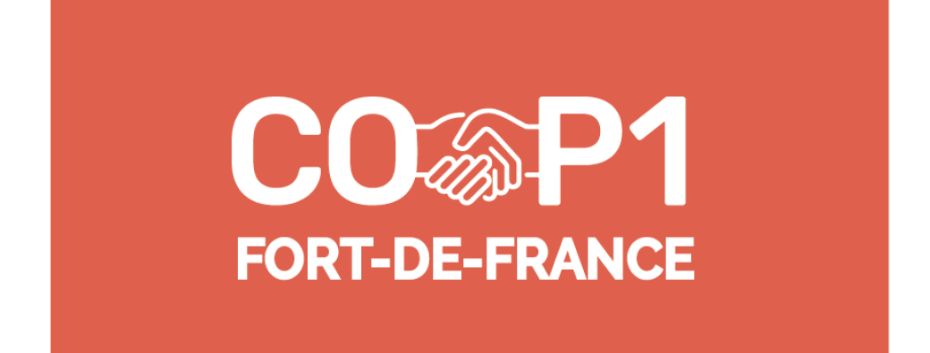 Distribution alimentaire du Samedi 15 Novembre 2025