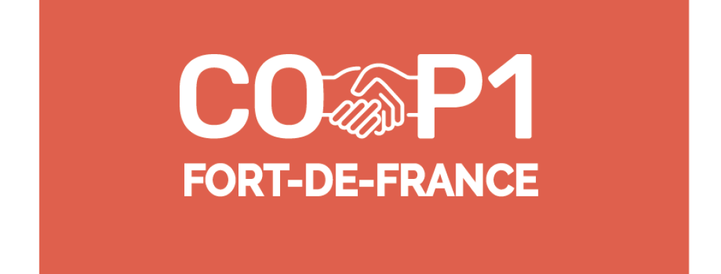 Distribution alimentaire du Samedi 27 Juin 2026