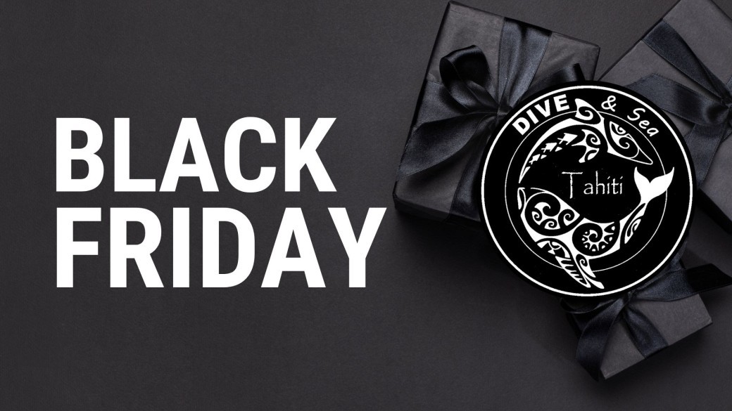 Dive And Sea - Black Friday 2024
