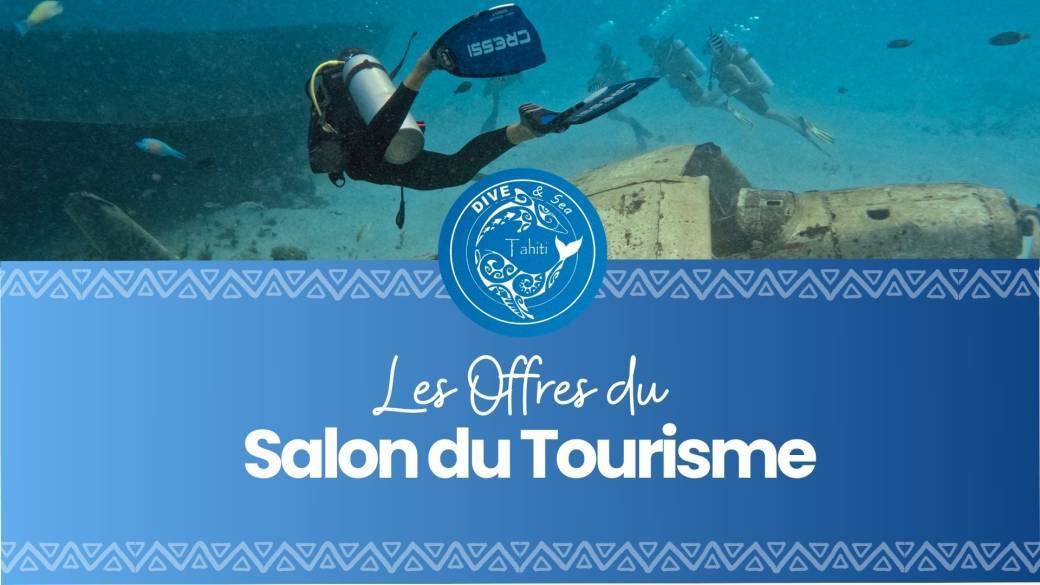 Dive And Sea - Salon du tourisme Septembre 2026