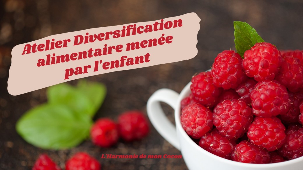 Visioconférence autour de la Diversification alimentaire menée par l'enfant