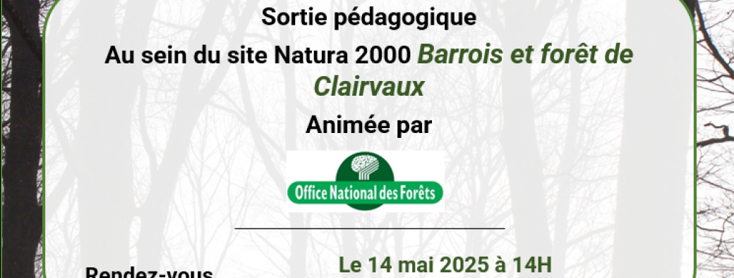 Diversité et gestion des écosystèmes forestiers en site Natura 2000 "Barrois et forêt de Clairva
