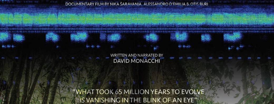 Documentaire : Dusk Chorus