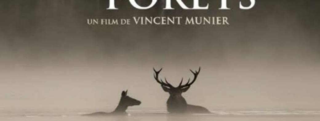 Documentaire Tout Public : Le chant des forêts