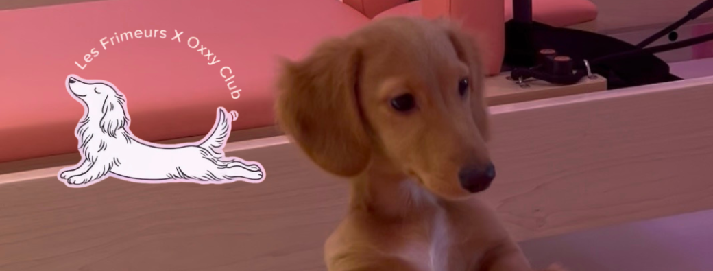 Dog Pilates : Oxxy Club x Les Frimeurs