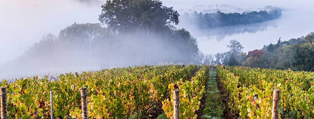 DOMAINE DES GENAUDIERES - ESCAPADE LOIRE : RANDO + TOUE CABANEE