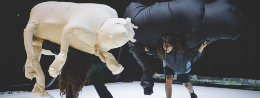 DONKEY - Festival Parallèle I DANSE