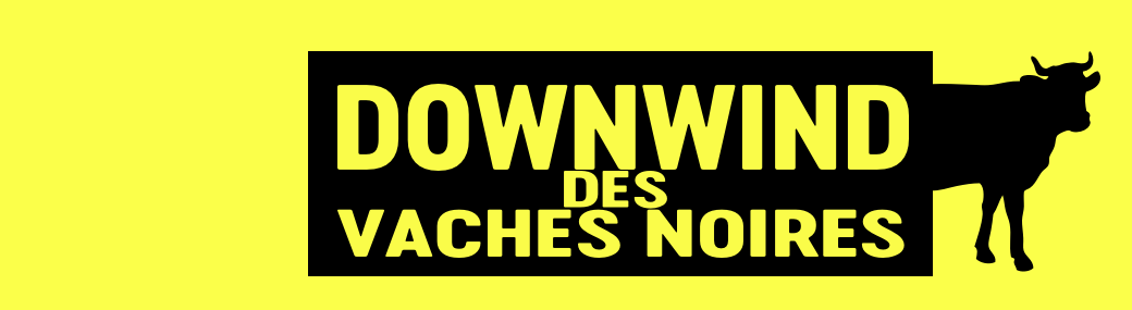 DOWNWIND VACHES NOIRES 2021