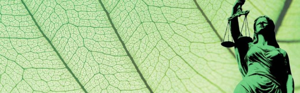 Les droits de la nature : une réponse à la crise écologique ?