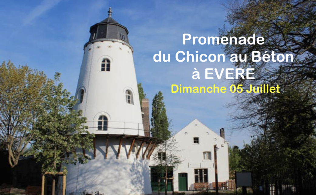 Du chicon au béton : un voyage dans le temps à Evere  