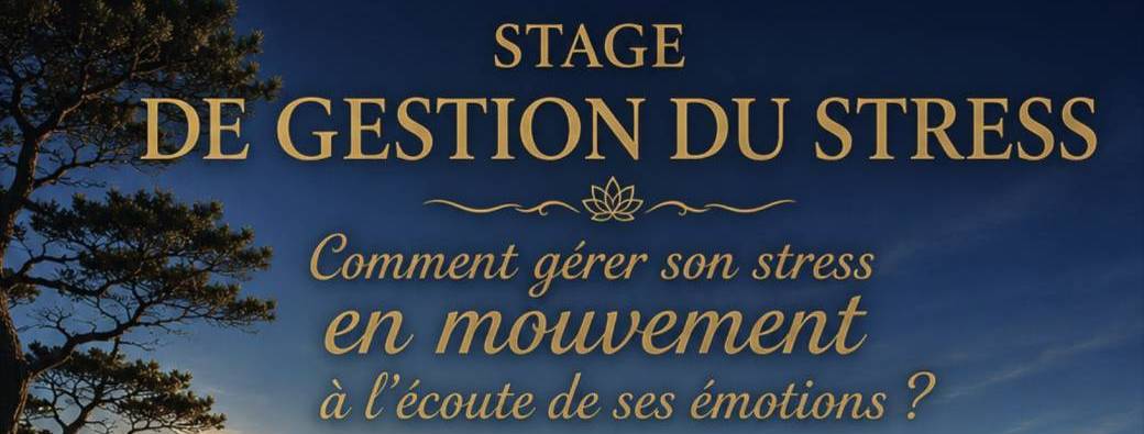 Du stress à la vitalité, apprivoisez vos émotions par le mouvement