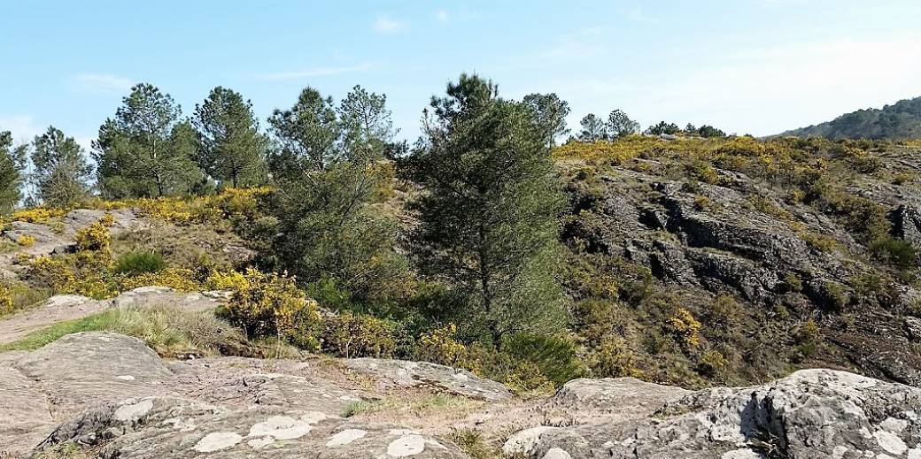 "Du Val sans retour au Graal"