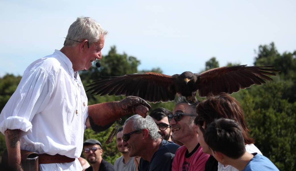 Duo avec Philippe et ses rapaces