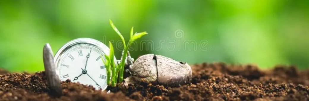 Dynamiser son épargne pour construire ses projets: un modèle d'accompagnement patrimonial serein