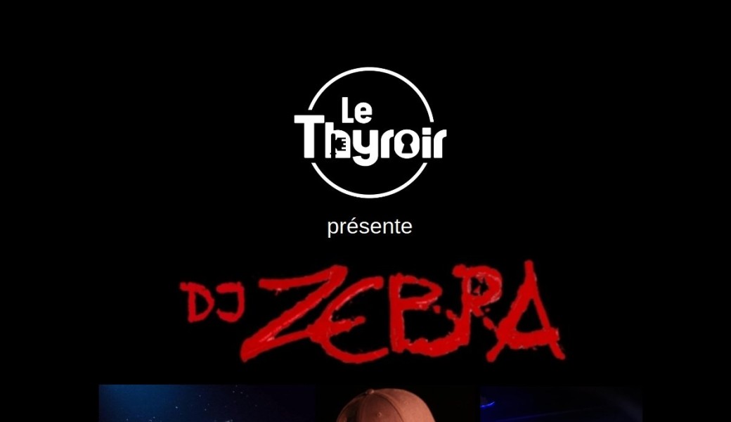 DZ ZEBRA