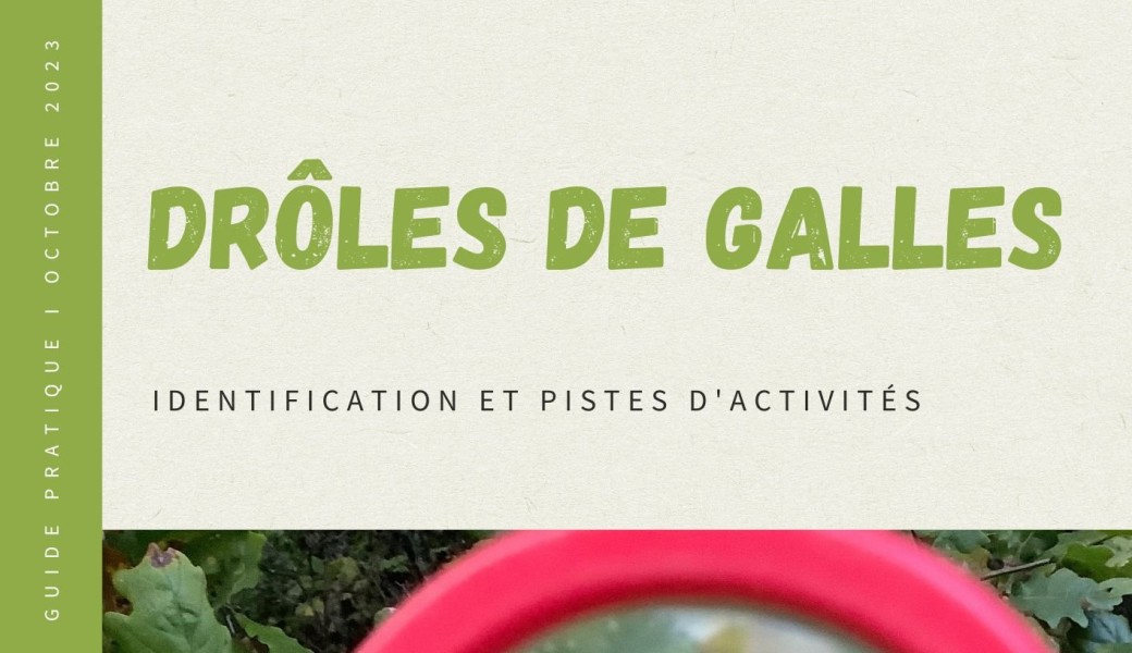 Ebook Drôles de galles