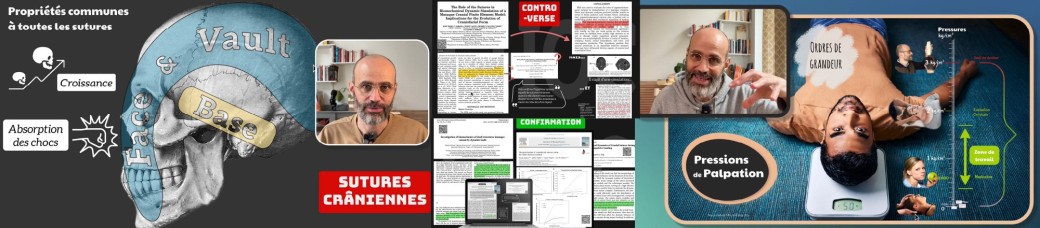 E-learning de Marco | Actualisation des modèles en ostéopathie crânienne