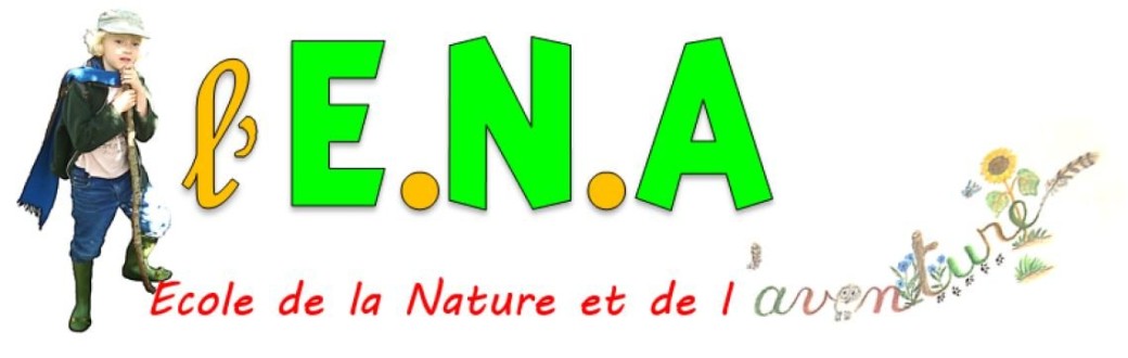 Atelier Parents-Enfants / Activités scientifiques et soutien scolaire