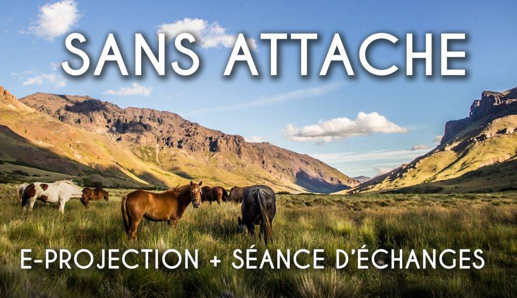 E-projection du film Sans Attache + échanges avec la réalisatrice + 2h de bonus du film