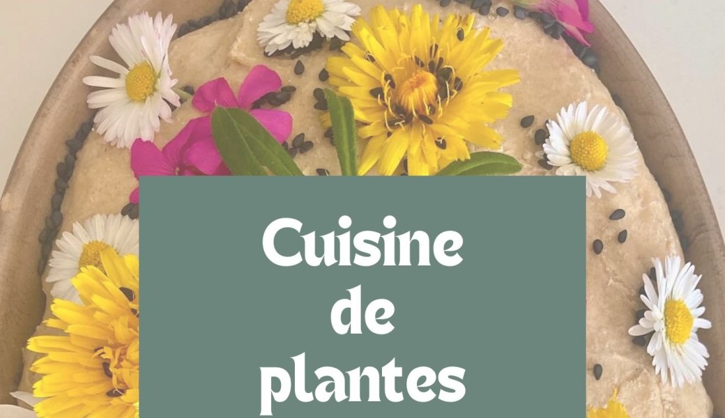 eBook cuisine de plantes sauvages - 48 recettes saison par saison