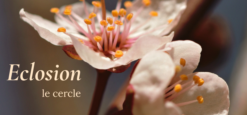 ECLOSION - le cercle