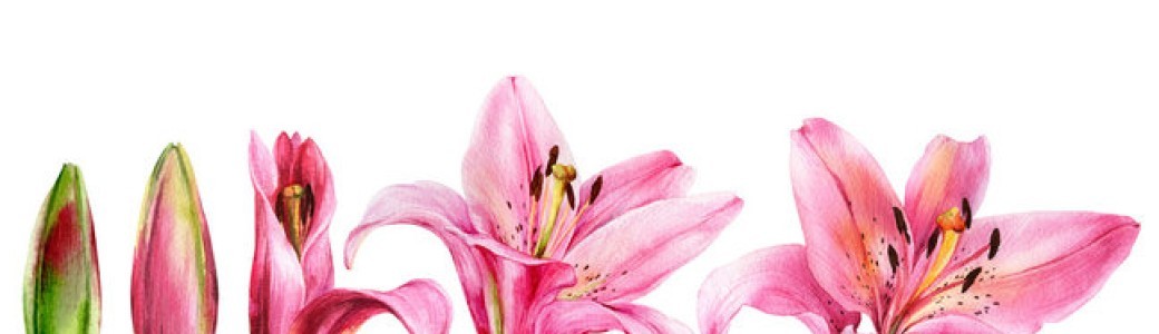 Eclosion
