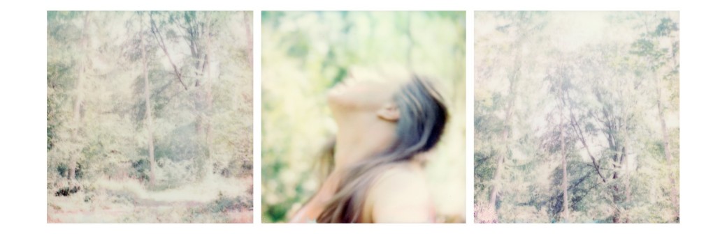 Ecriture de soi, autoportrait et nature