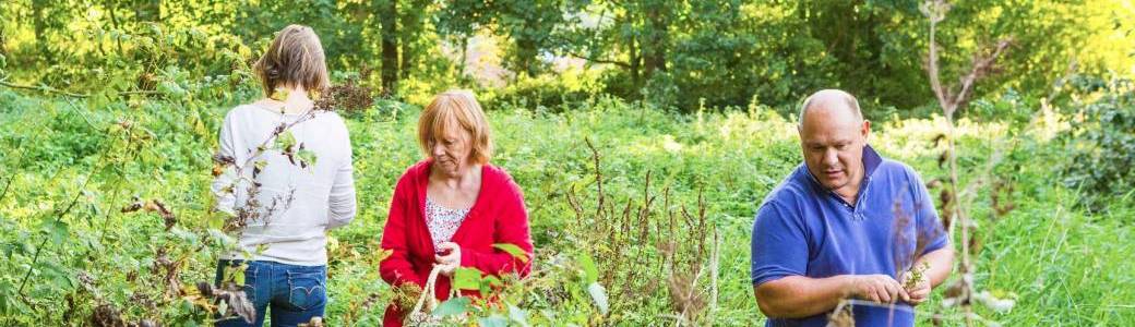 Edible Plant Walk - Mons (2026)