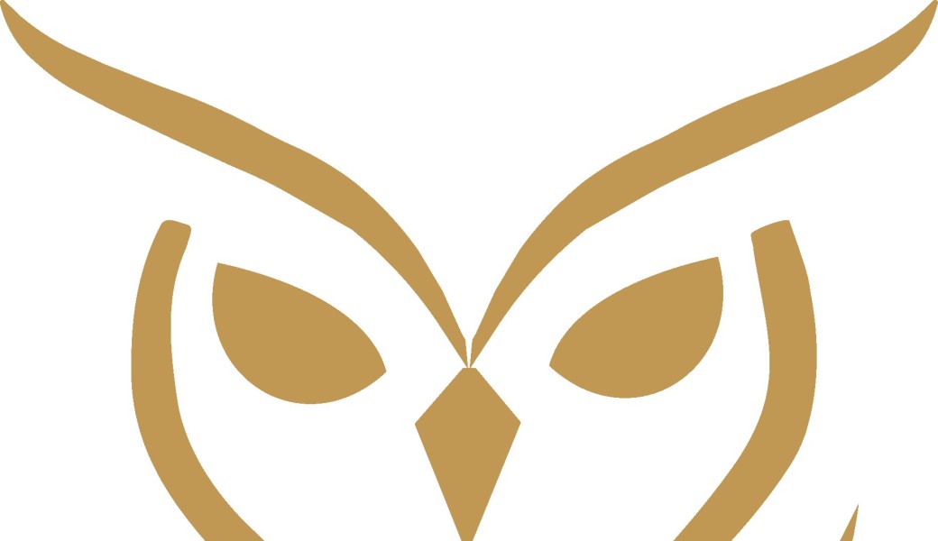 Education financière et présentation de métier