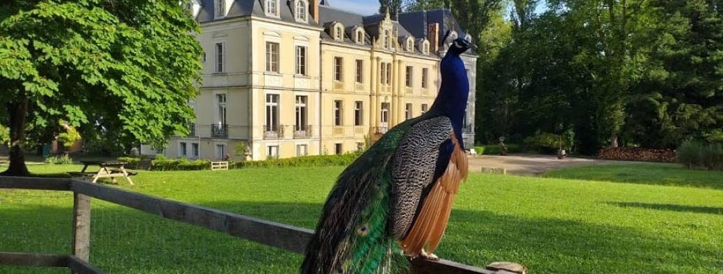 Educ'Tour - Domaine de Ouézy