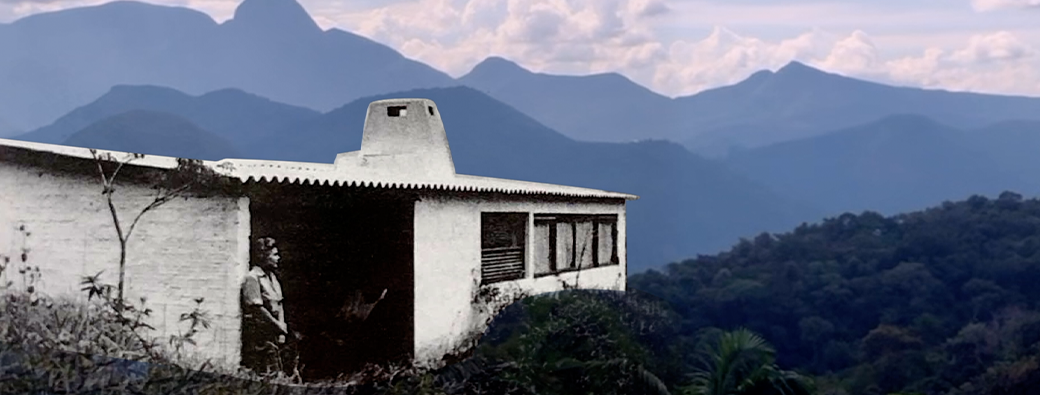  Elizabeth Bishop: From Brazil with Love de Vivian Ostrovsky