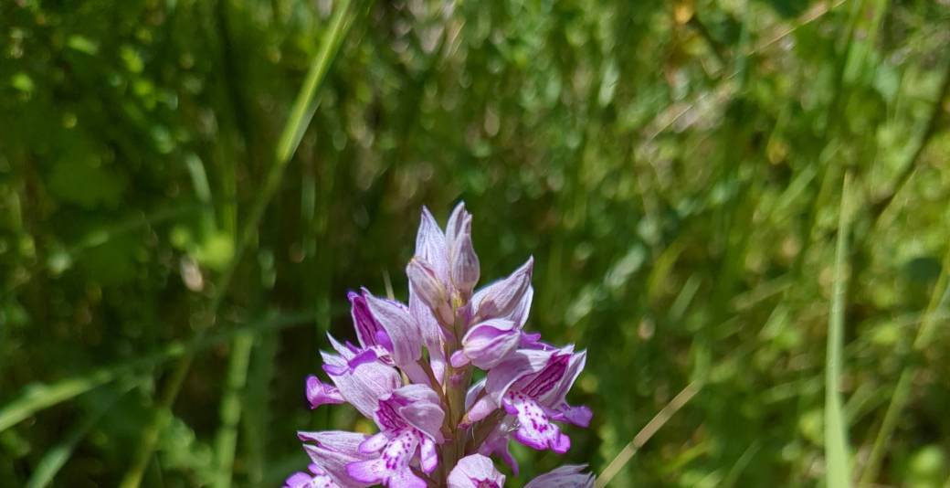 En nature, Simone : en route pour les terrasses alluviales ! 20/05/2026