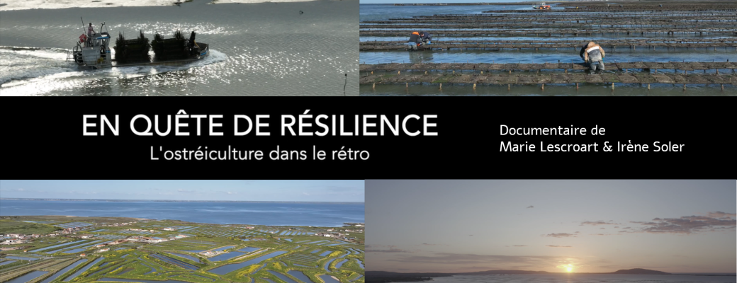 "En quête de résilience : l'ostréiculture dans le rétro"