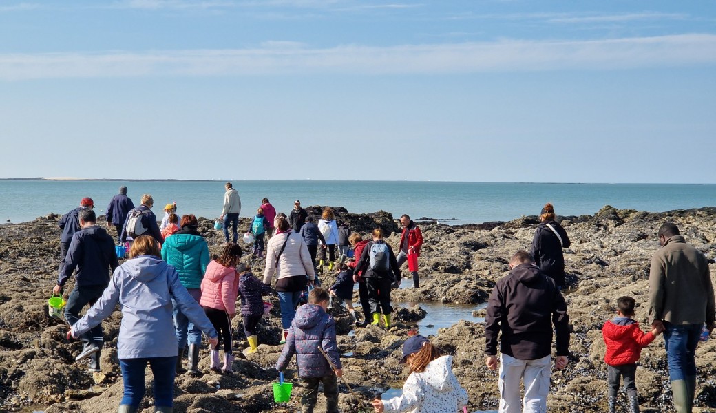 En route pour la pêche à pied