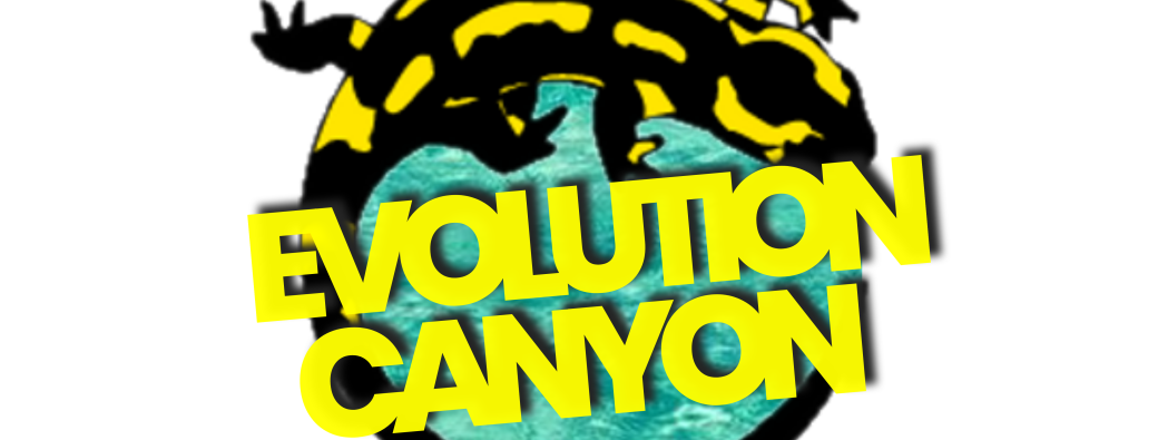 Evolution Canyon